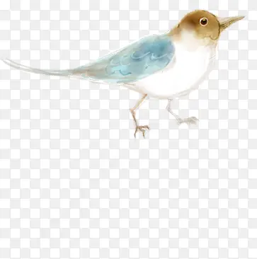 �ֻ�ˮ��С�����-������