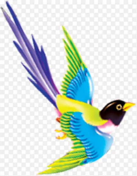 �ֻ��ɫС��Ƭ-������