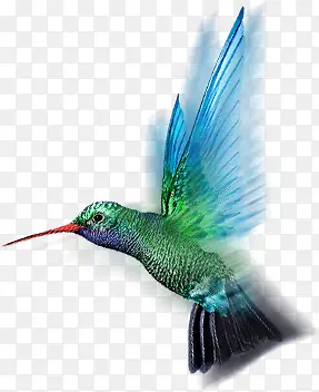 �ֻ���ɫ���С��-������