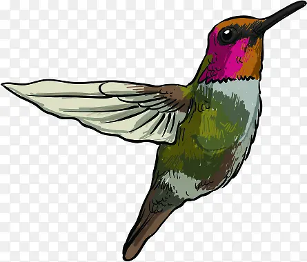 �ֻ��ɫ��ͨС��-������