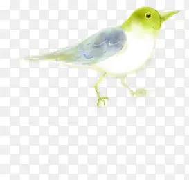 �ֻ��ɫˮ��С��-������