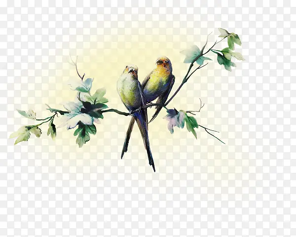 ��ͨ��֦����С��-������