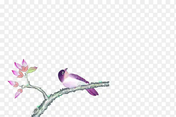 �ֻ�С�� ������֦-������