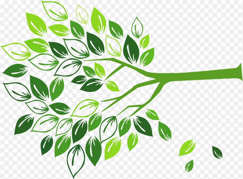 �����ֻ���Ҷ����-������