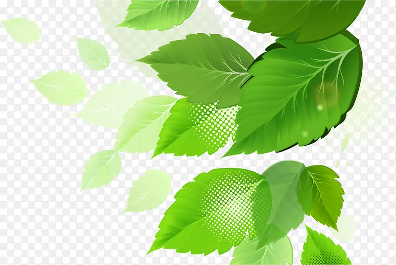 ʸ���ֻ���Ҷ-������