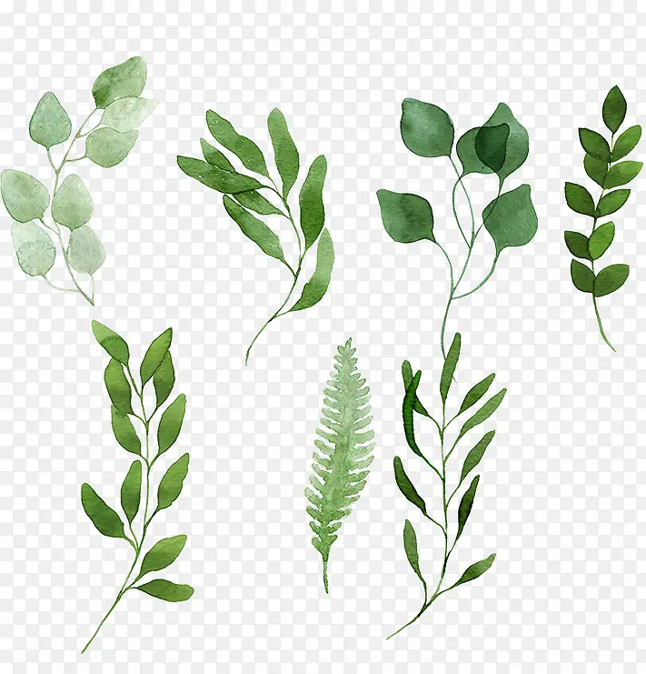 �ֻ�С����Ҷ-������