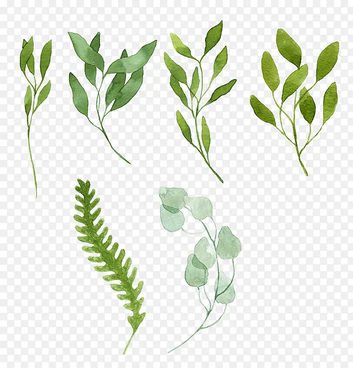 �ֻ�С����Ҷ-������