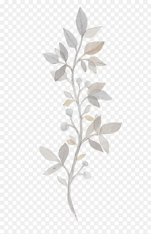 Ư��ֲ��-������