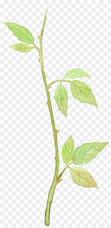 Ư����֦-������