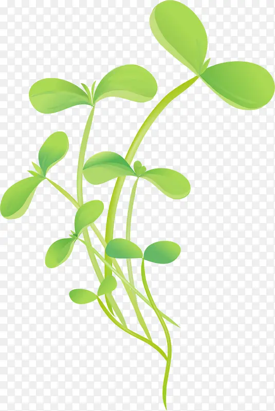 ��ѿ��Ҷ-������