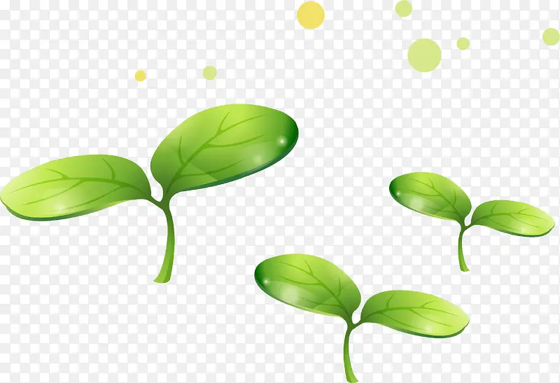 �ֻ���Ҷ��ѿ-������