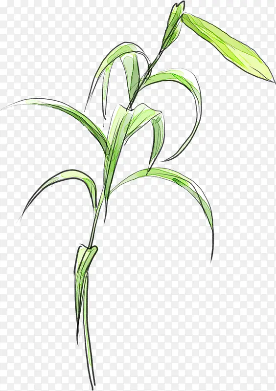 �ֻ���Ҷ���⿨Ƭ-������