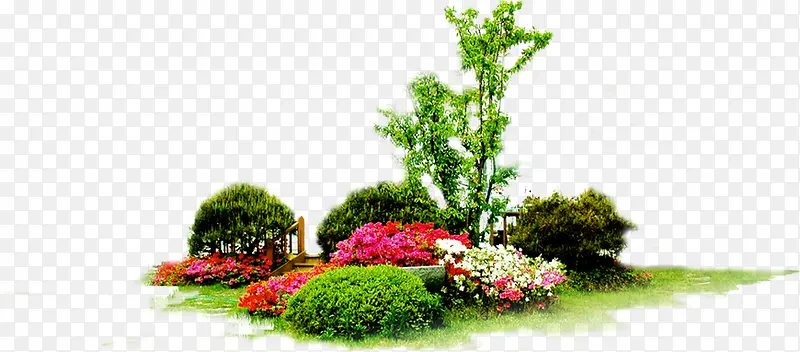 �����ֻ���Ҷ��Ӱͼ-������