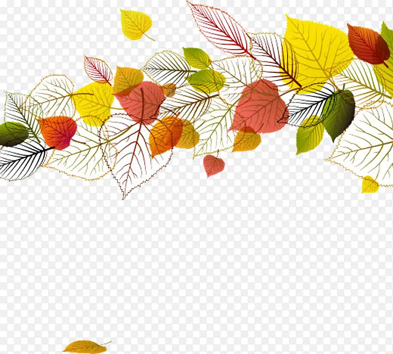 �ֻ洴����Ҷ��ǩ-������