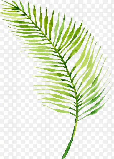 �����ֻ�廭��Ҷ-������