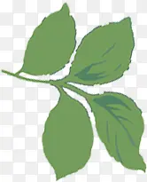 �ֻ���Ҷʱ�к���-������