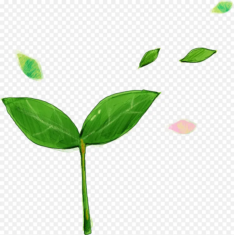 �ֻ���Ҷ����ͼƬ-������