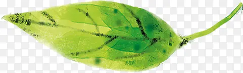 �ֻ���Ҷ���⺣��-������