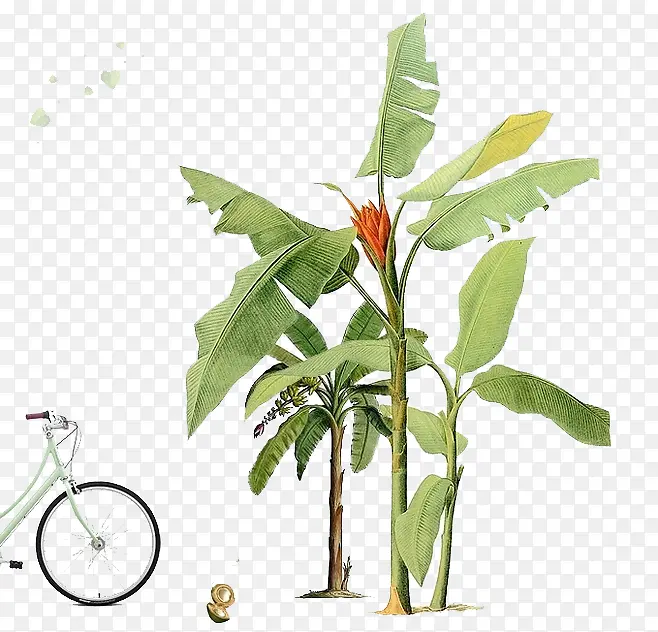 ֲ��-������