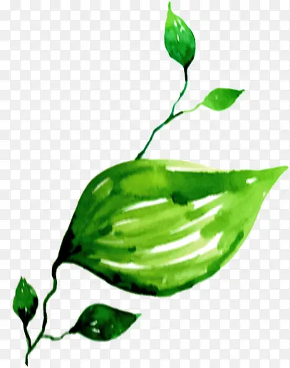 �ֻ���ɫˮ����Ҷ-������