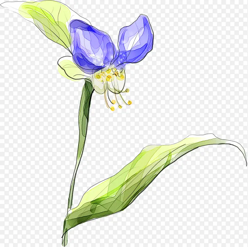 �ֻ���ɫˮ��С����Ҷ-������