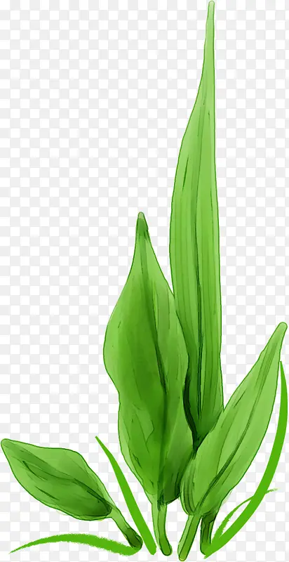 �ֻ��̲�-������