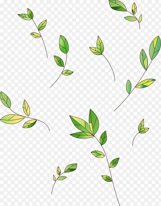 ��ҶƯ��-������