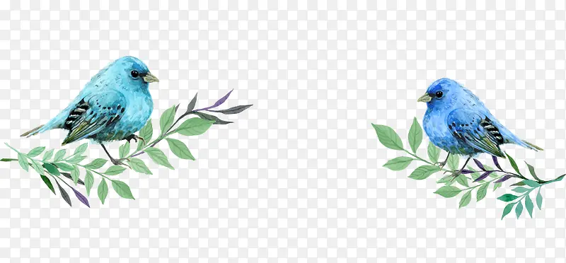 �ֻ�ˮ����֦����-������