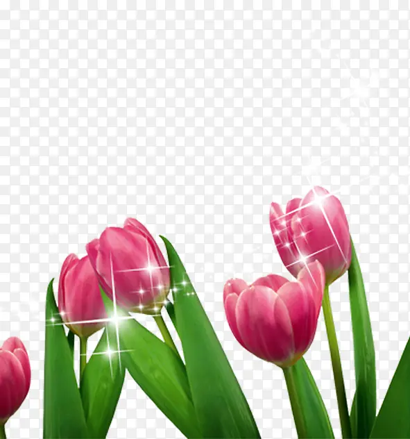 �ɰ�������-������