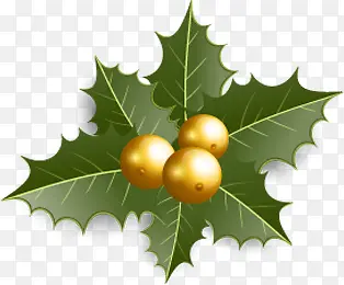 �ֻ�ʥ������Ҷ����װ��-������