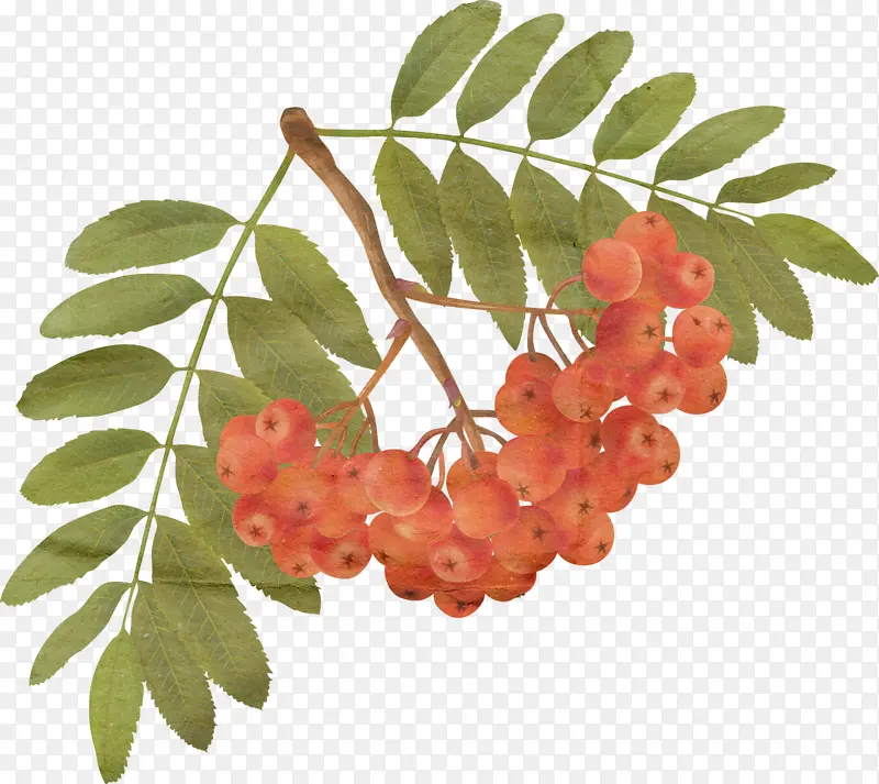 �ֻ�ɽ�-������