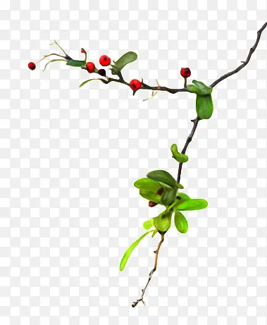 �ֻ�ɰ���ҶС��-������