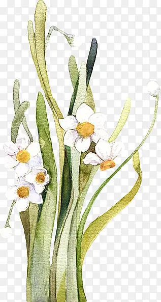 �ֻ��ɫС����Ҷ-������