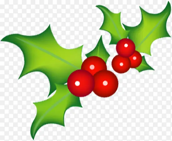 �ֻ�ʥ������Ҷװ��-������