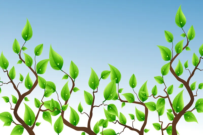 ��ɫҶ�ӱ���-������