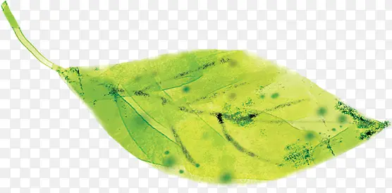 �ֻ�廭������Ҷ-������