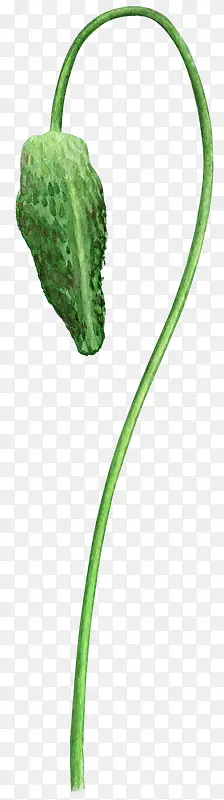 �ֻ滨��-������