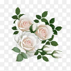 �ֻ���Ҷ��ɫС��-������