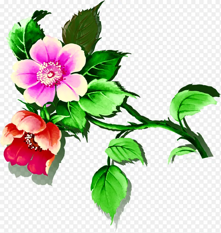 �ֻ�ˮ�ʻ�����Ҷ-������