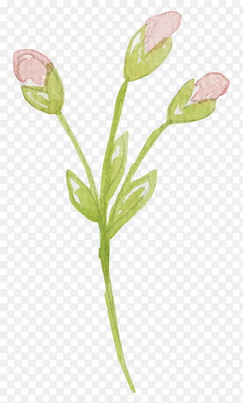 �ֻ�С��-������