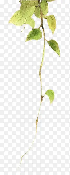 �ֻ���Ҷ��ͨ��Ҷ-������