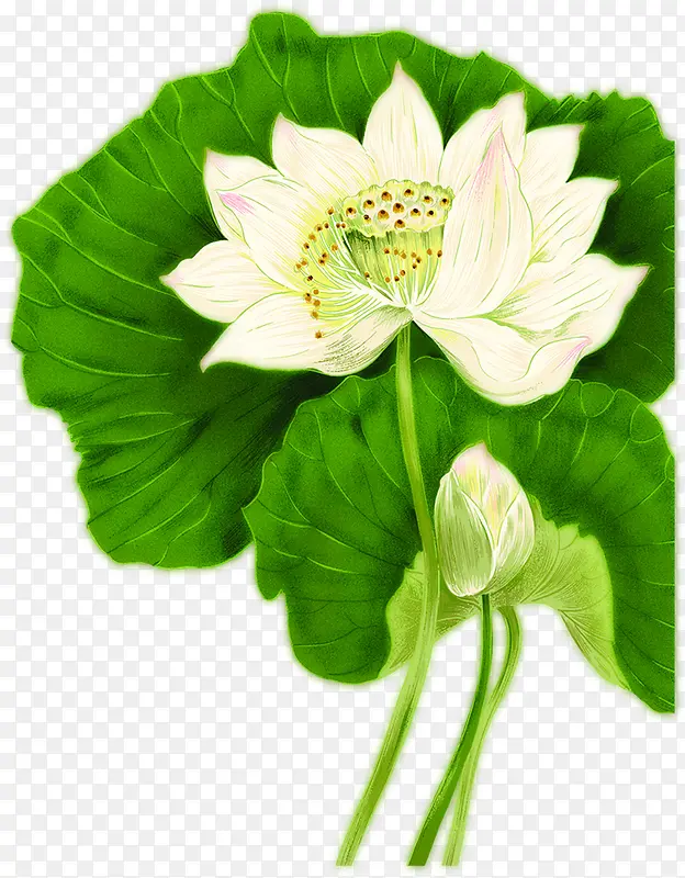 �ֻ���Ҷ��ɫ�ɻ�-������