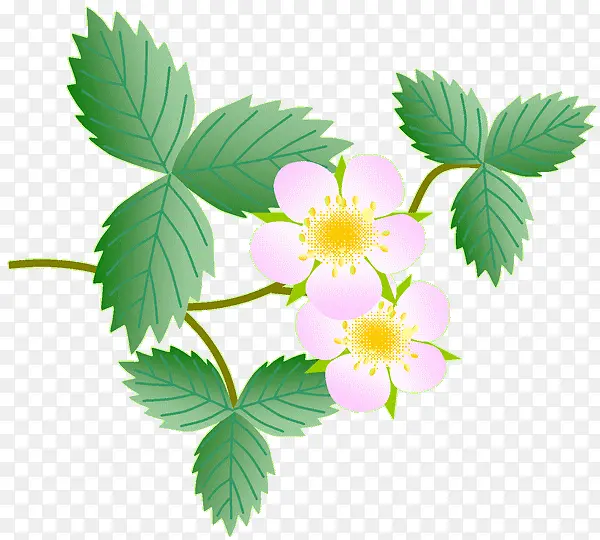 �ֻ�ۺ���Ҷ��֦-������