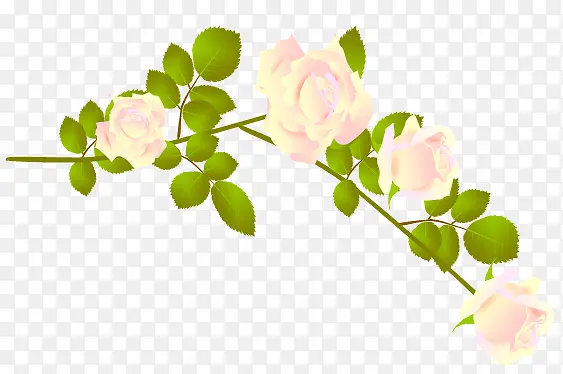 �ֻ�ۺ���Ҷ��֦-������