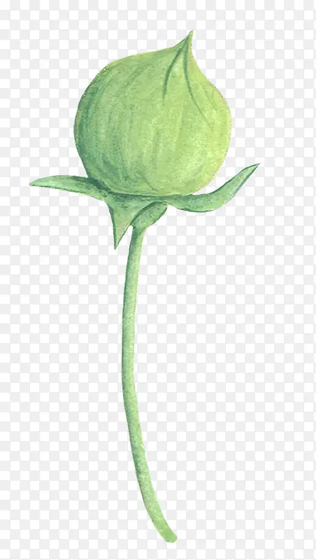 �ֻ�ˮ��Ҷ�ӻ���-������