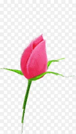 ��ɫ�ɰ��ֻ滨��-������