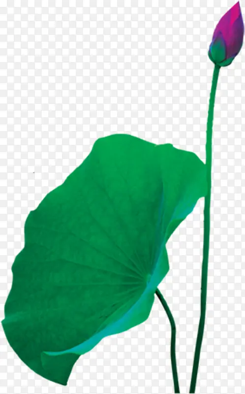 �ɰ�Ψ����ɫ����-������