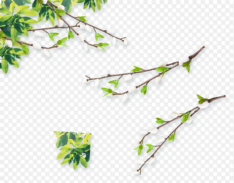 ��ɫ���Ż�����֦-������