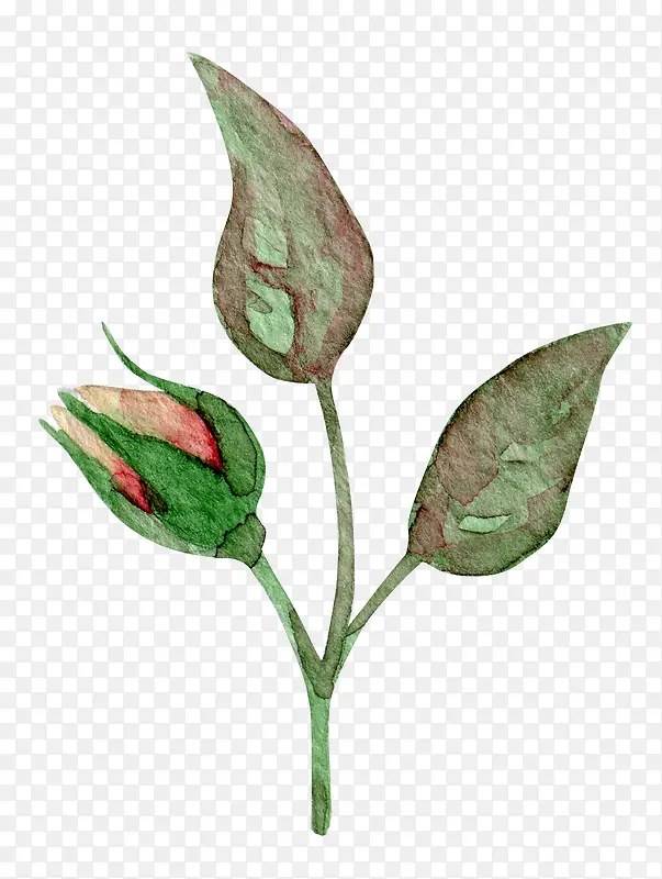 �ʻ�Ҷ�Ӻͻ���-������