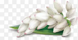 ��ɫ����ͼƬ-������